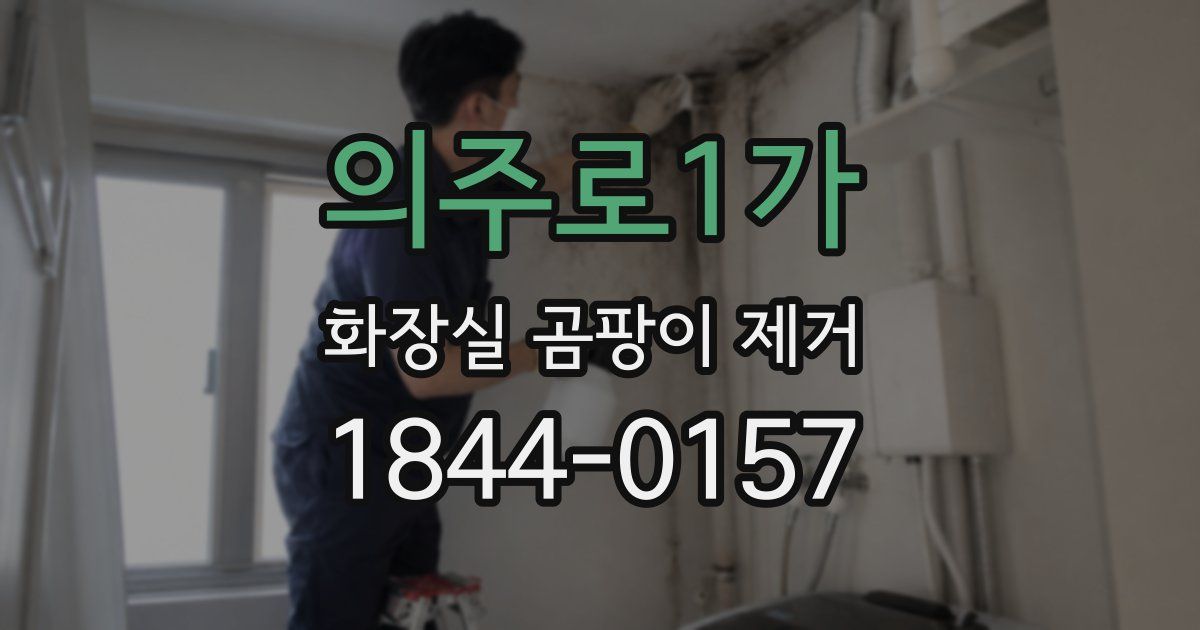 의주로1가 화장실 곰팡이 제거
