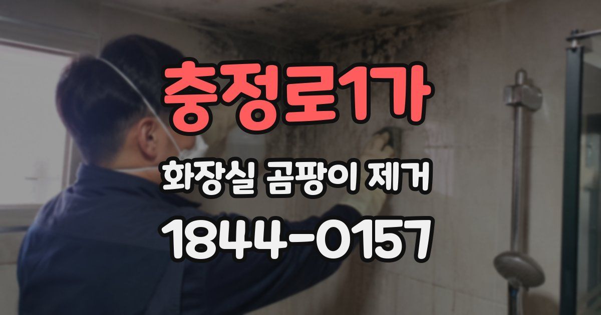충정로1가 화장실 곰팡이 제거