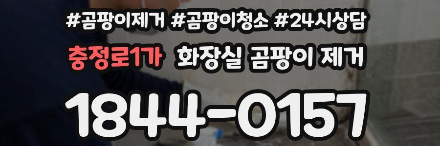 충정로1가 화장실 곰팡이 제거