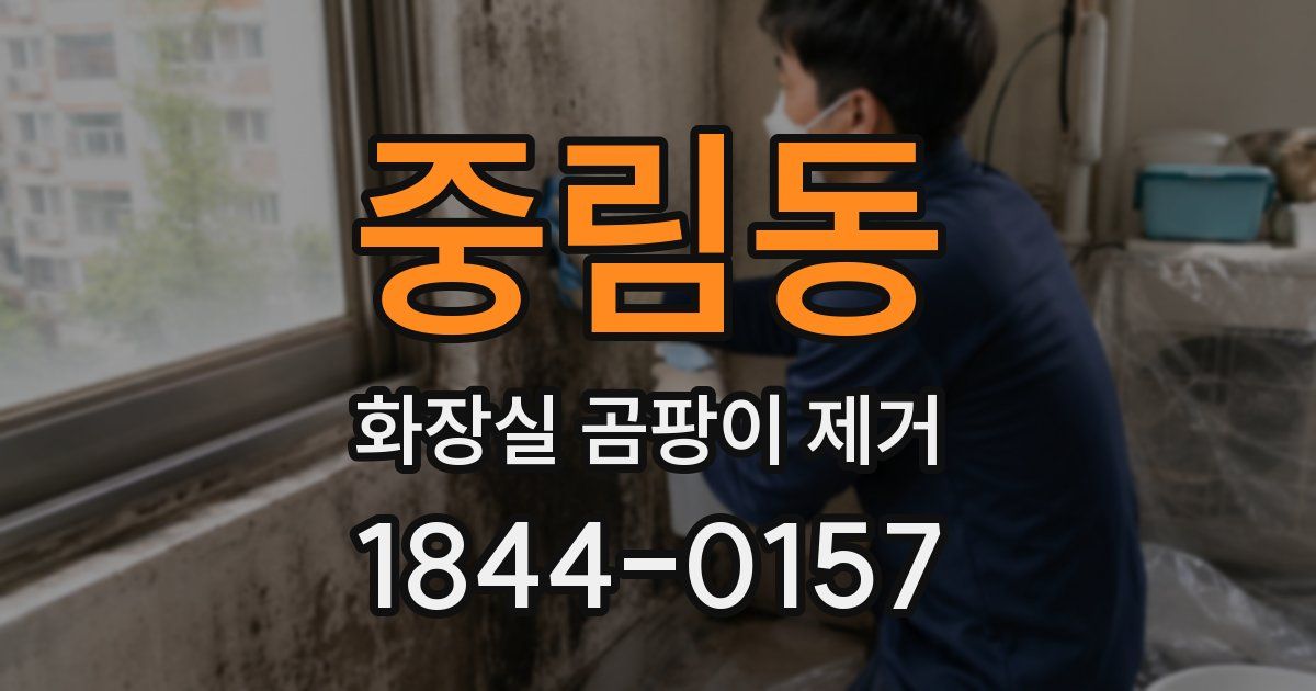 중림동 화장실 곰팡이 제거