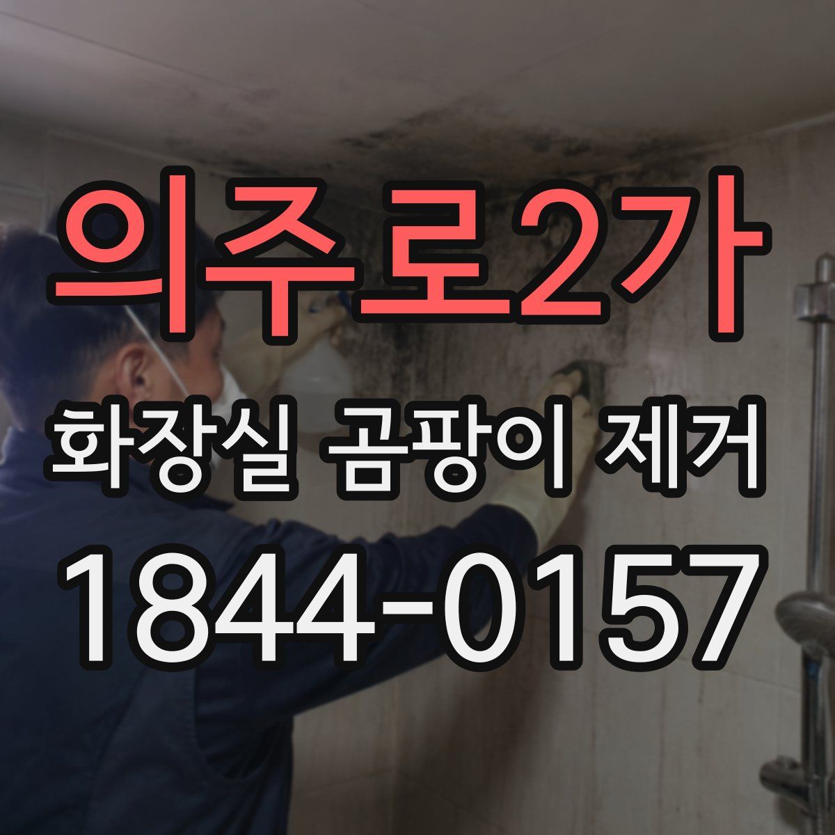 의주로2가 화장실 곰팡이 제거