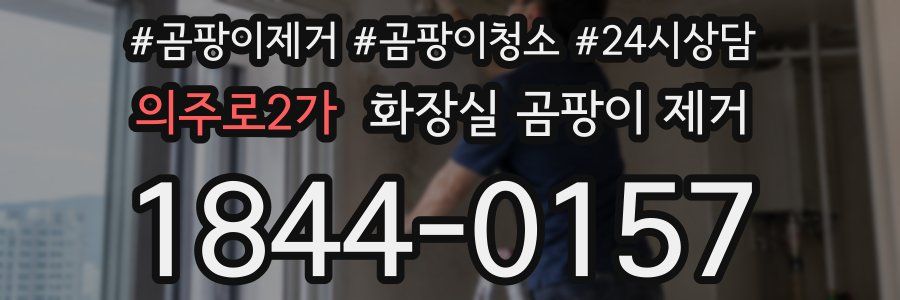의주로2가 화장실 곰팡이 제거