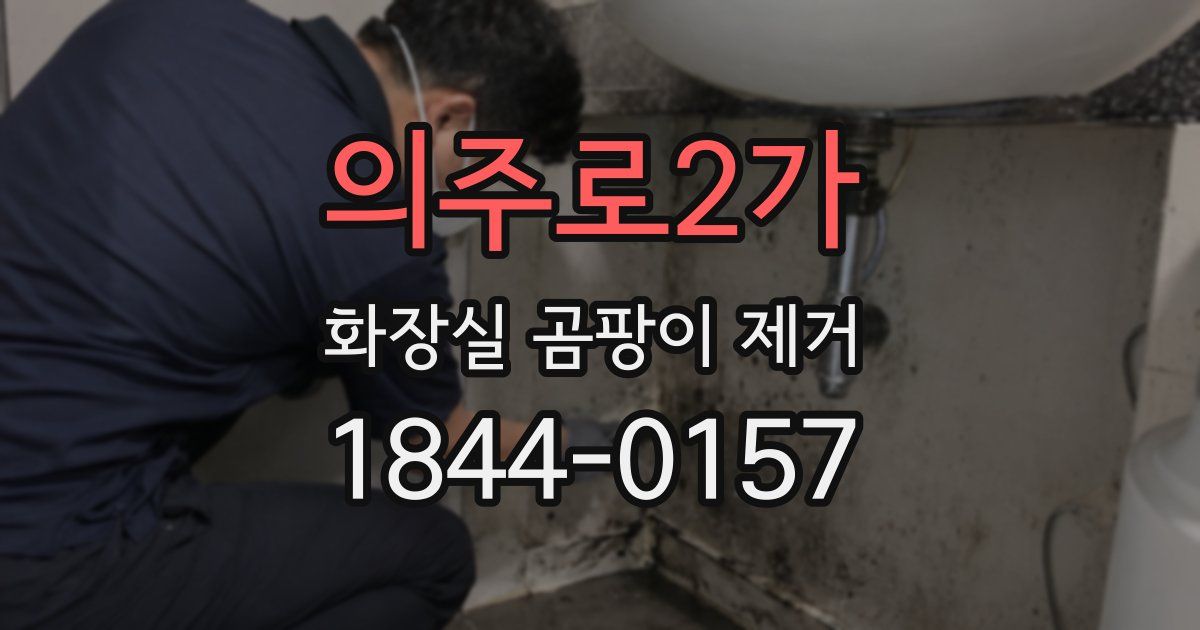 의주로2가 화장실 곰팡이 제거