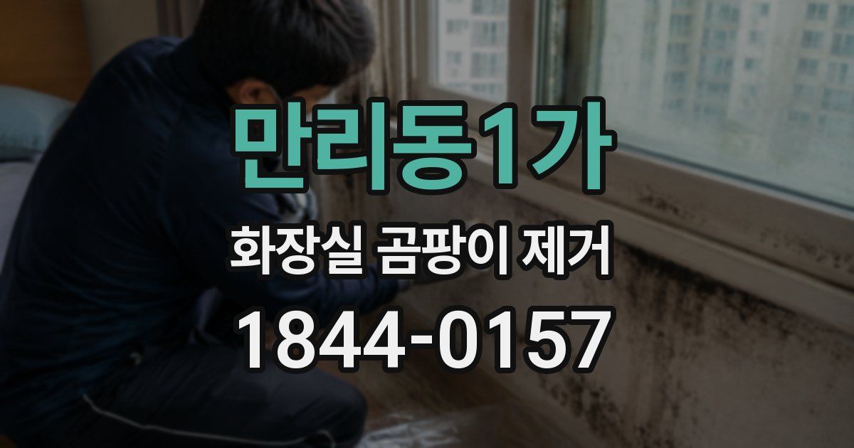 만리동1가 화장실 곰팡이 제거