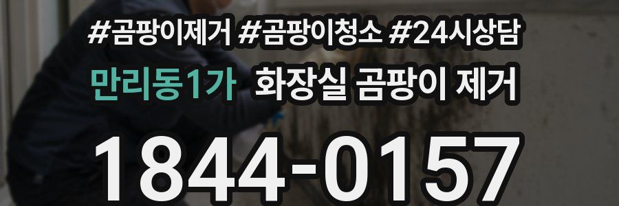 만리동1가 화장실 곰팡이 제거