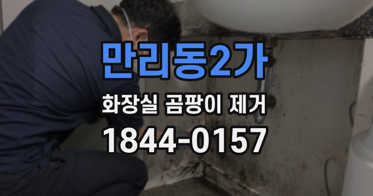 만리동2가 화장실 곰팡이 제거
