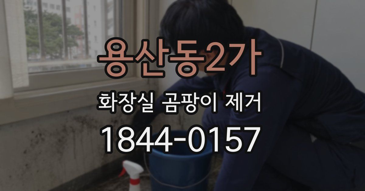 용산동2가 화장실 곰팡이 제거