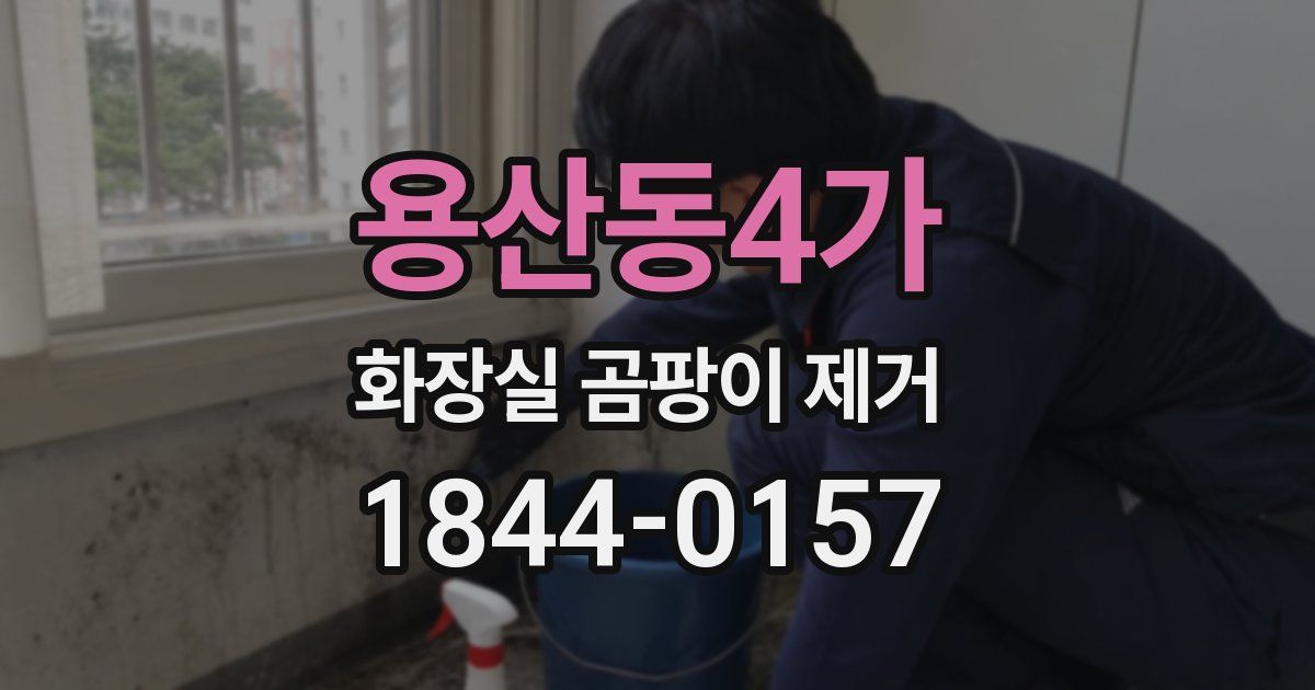용산동4가 화장실 곰팡이 제거
