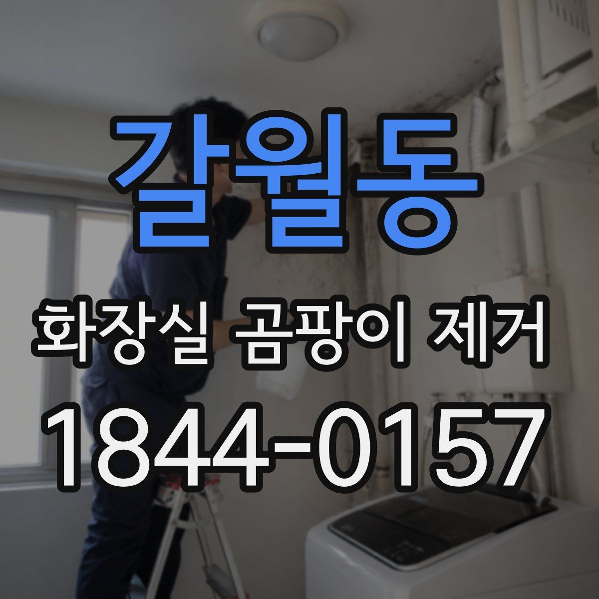 갈월동 화장실 곰팡이 제거