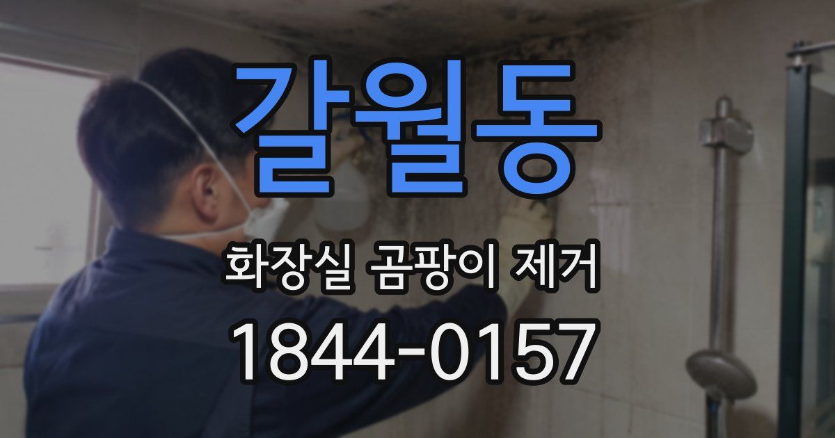 갈월동 화장실 곰팡이 제거