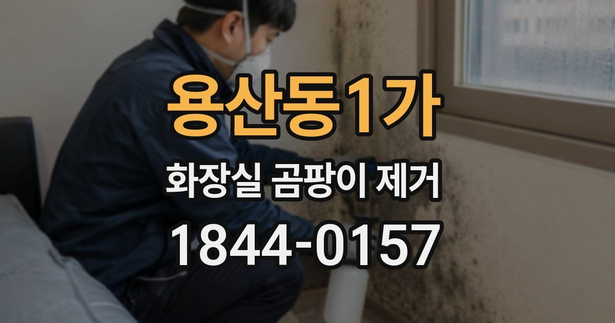 용산동1가 화장실 곰팡이 제거