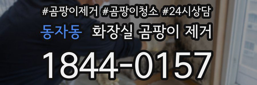 동자동 화장실 곰팡이 제거