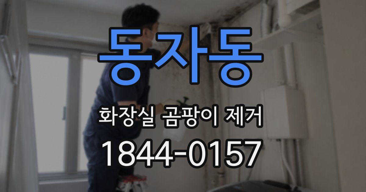 동자동 화장실 곰팡이 제거