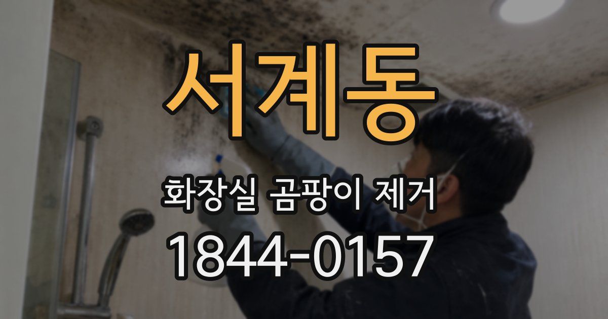 서계동 화장실 곰팡이 제거