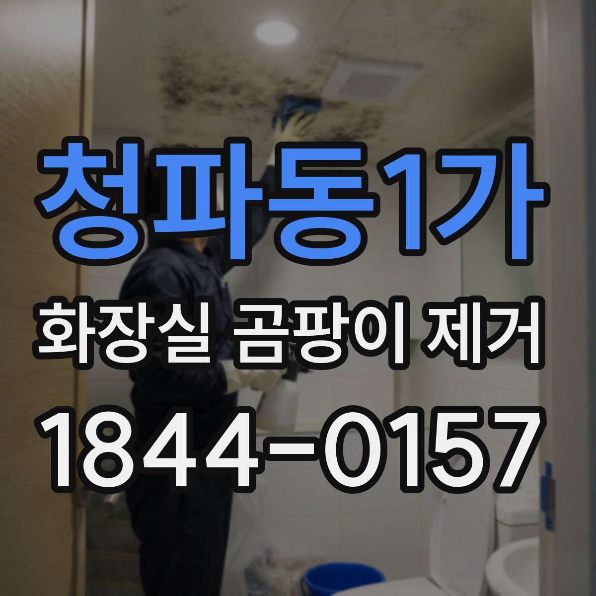 청파동1가 화장실 곰팡이 제거