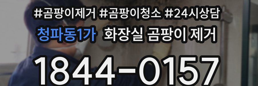 청파동1가 화장실 곰팡이 제거