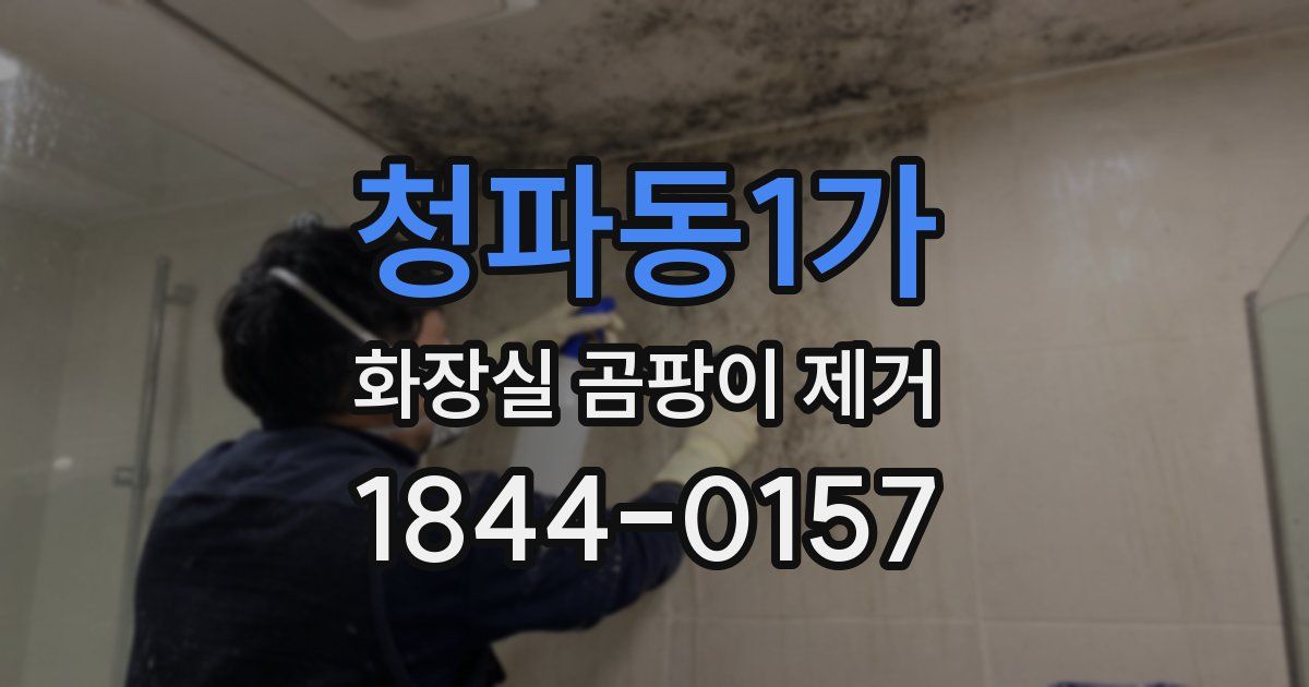 청파동1가 화장실 곰팡이 제거