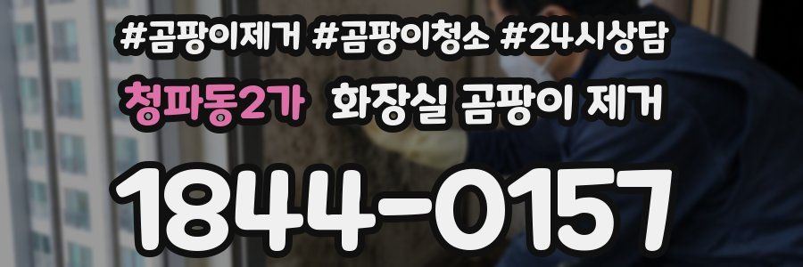 청파동2가 화장실 곰팡이 제거