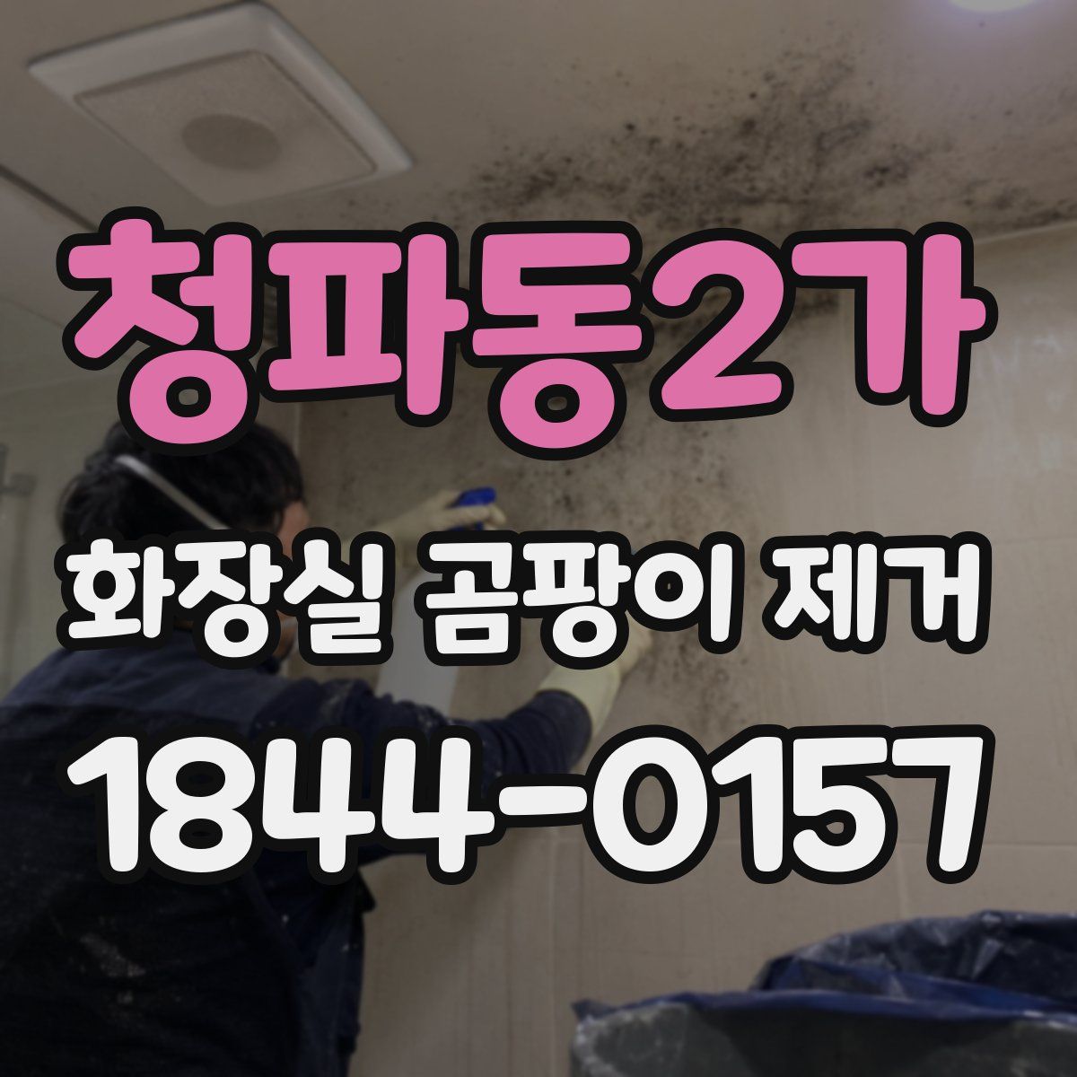 청파동2가 화장실 곰팡이 제거