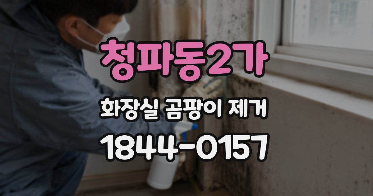 청파동2가 화장실 곰팡이 제거