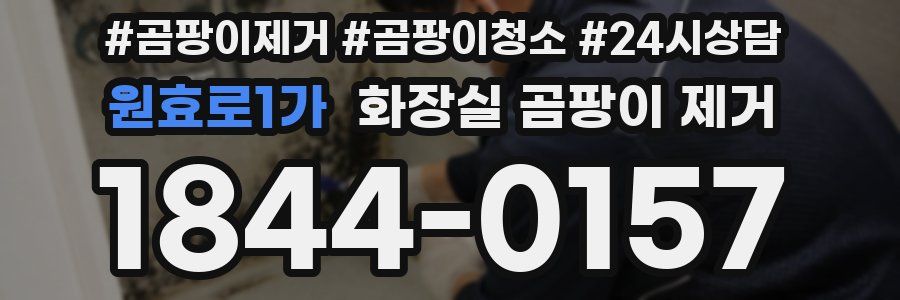 원효로1가 화장실 곰팡이 제거