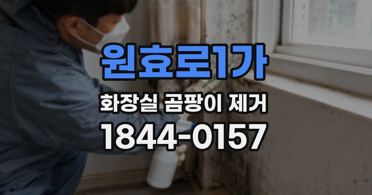 원효로1가 화장실 곰팡이 제거