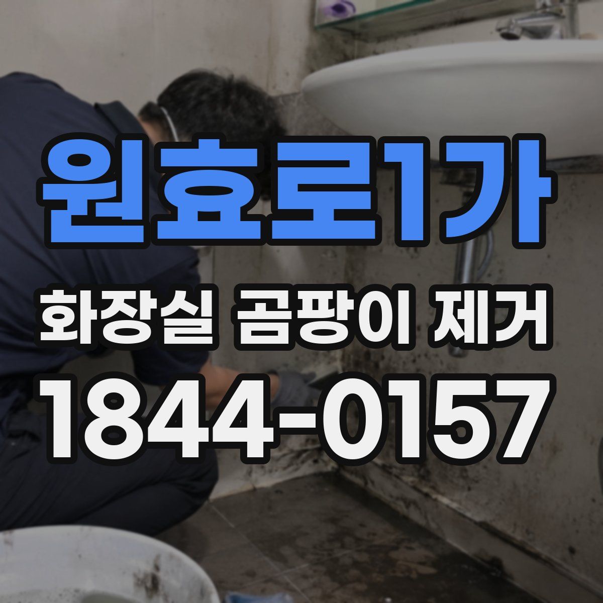 원효로1가 화장실 곰팡이 제거