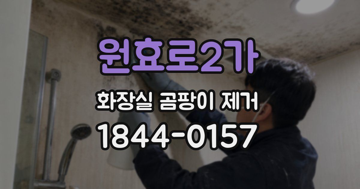 원효로2가 화장실 곰팡이 제거