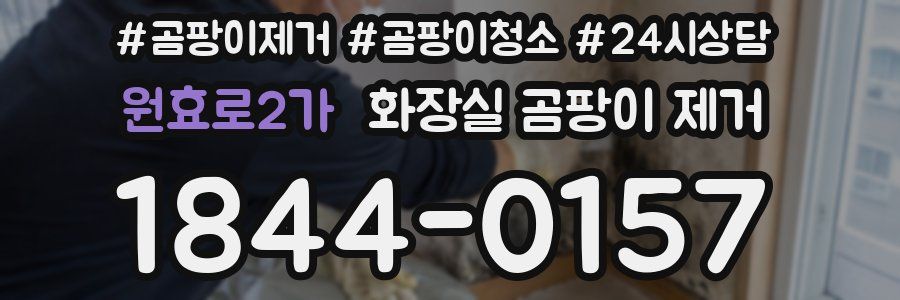 원효로2가 화장실 곰팡이 제거