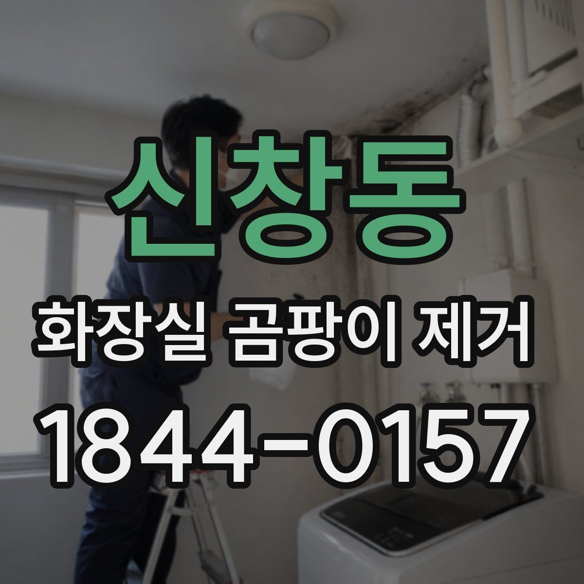 신창동 화장실 곰팡이 제거 전문 손길이 필요한 깊은 오염 구간 확인