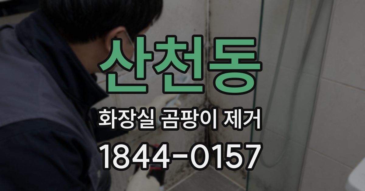 산천동 화장실 곰팡이 제거