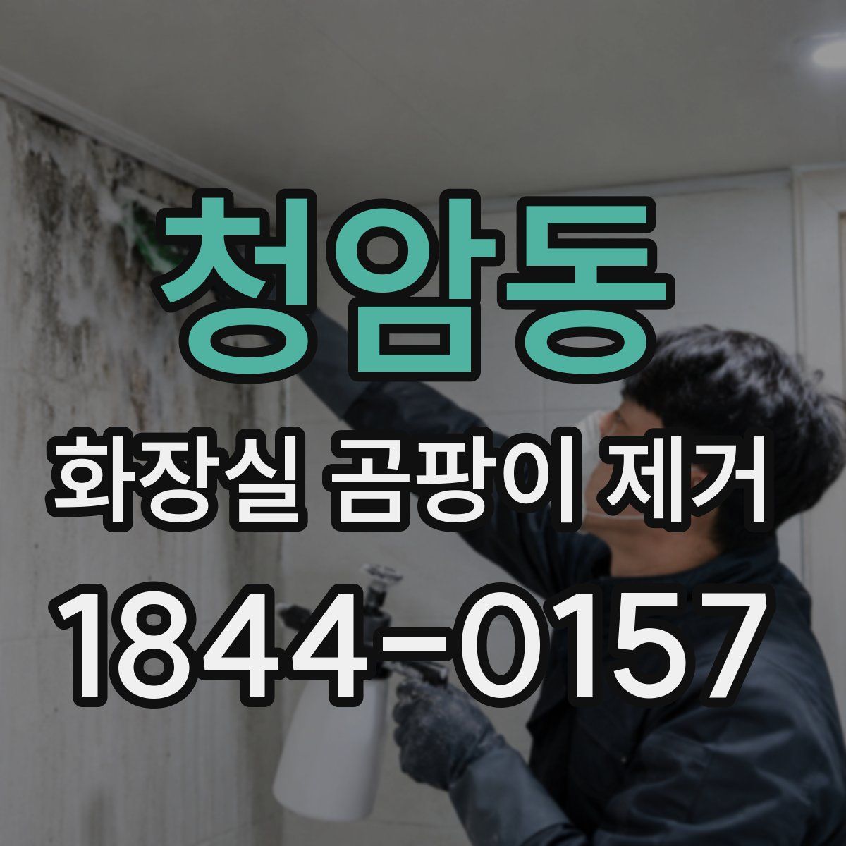 청암동 화장실 곰팡이 제거