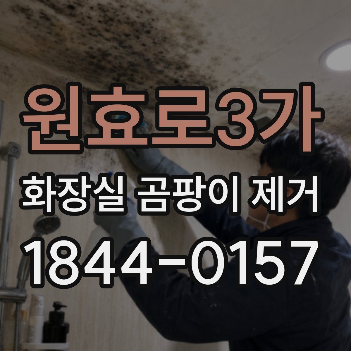 원효로3가 화장실 곰팡이 제거 벽면과 천장 경계부부터 살피는 이유
