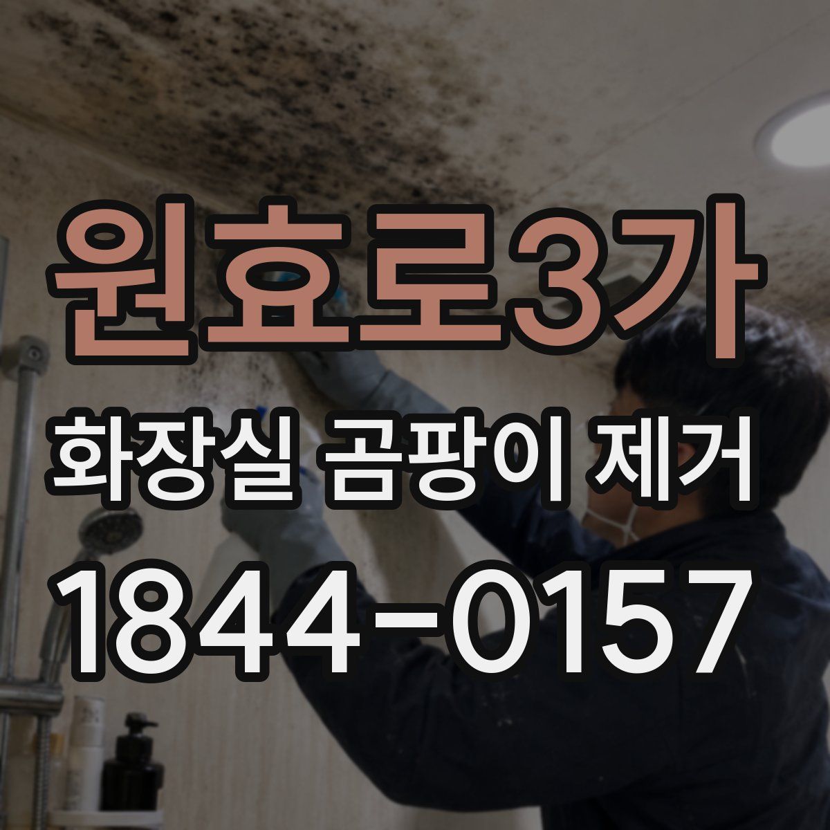 원효로3가 화장실 곰팡이 제거