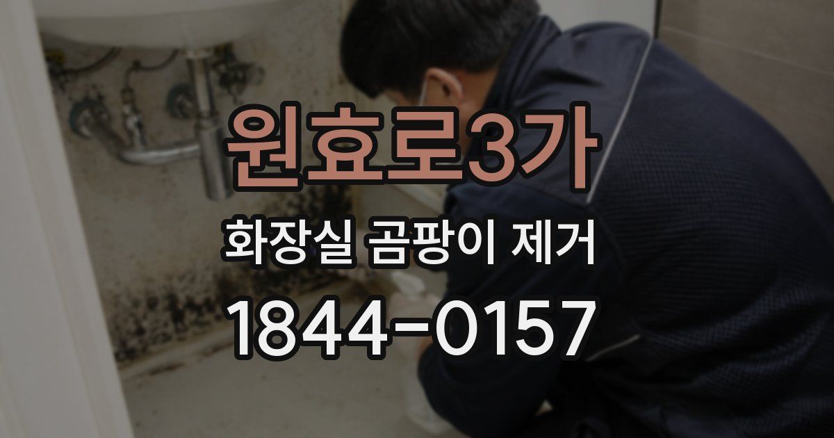 원효로3가 화장실 곰팡이 제거
