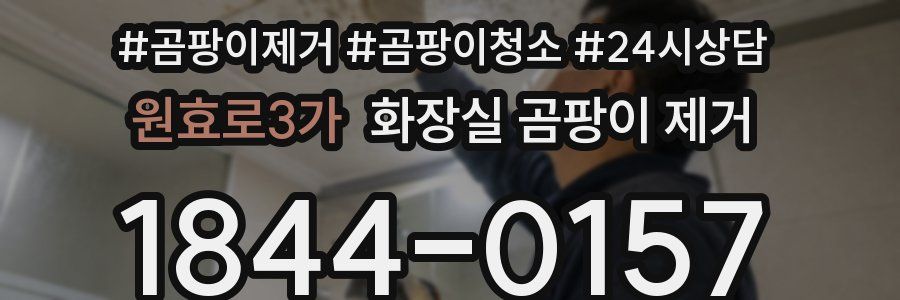 원효로3가 화장실 곰팡이 제거