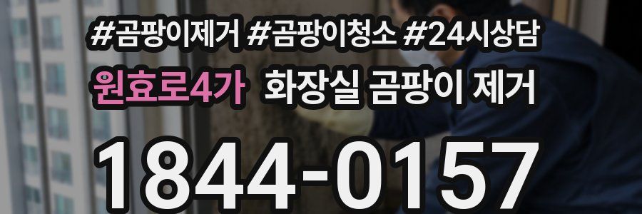원효로4가 화장실 곰팡이 제거