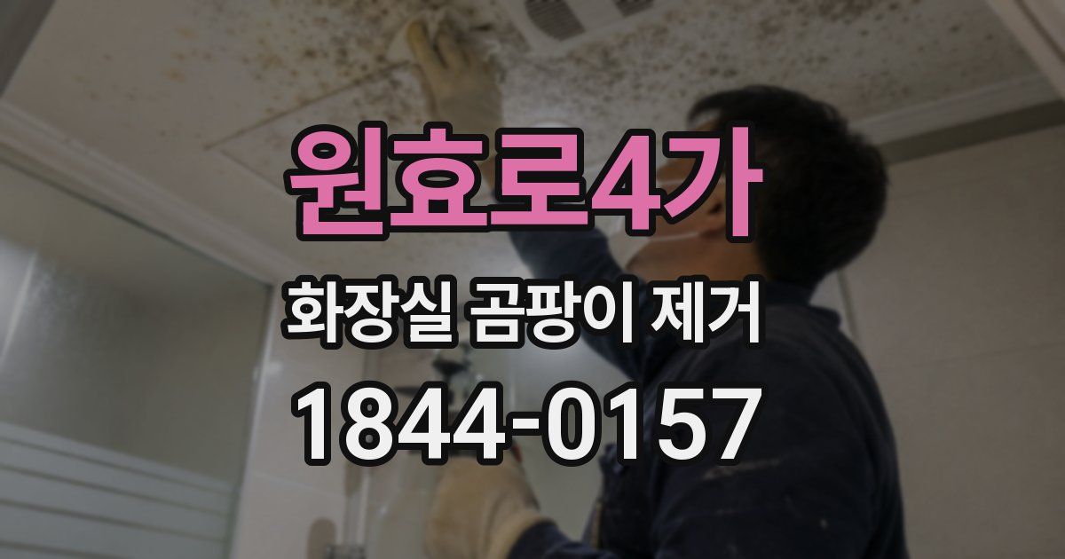 원효로4가 화장실 곰팡이 제거