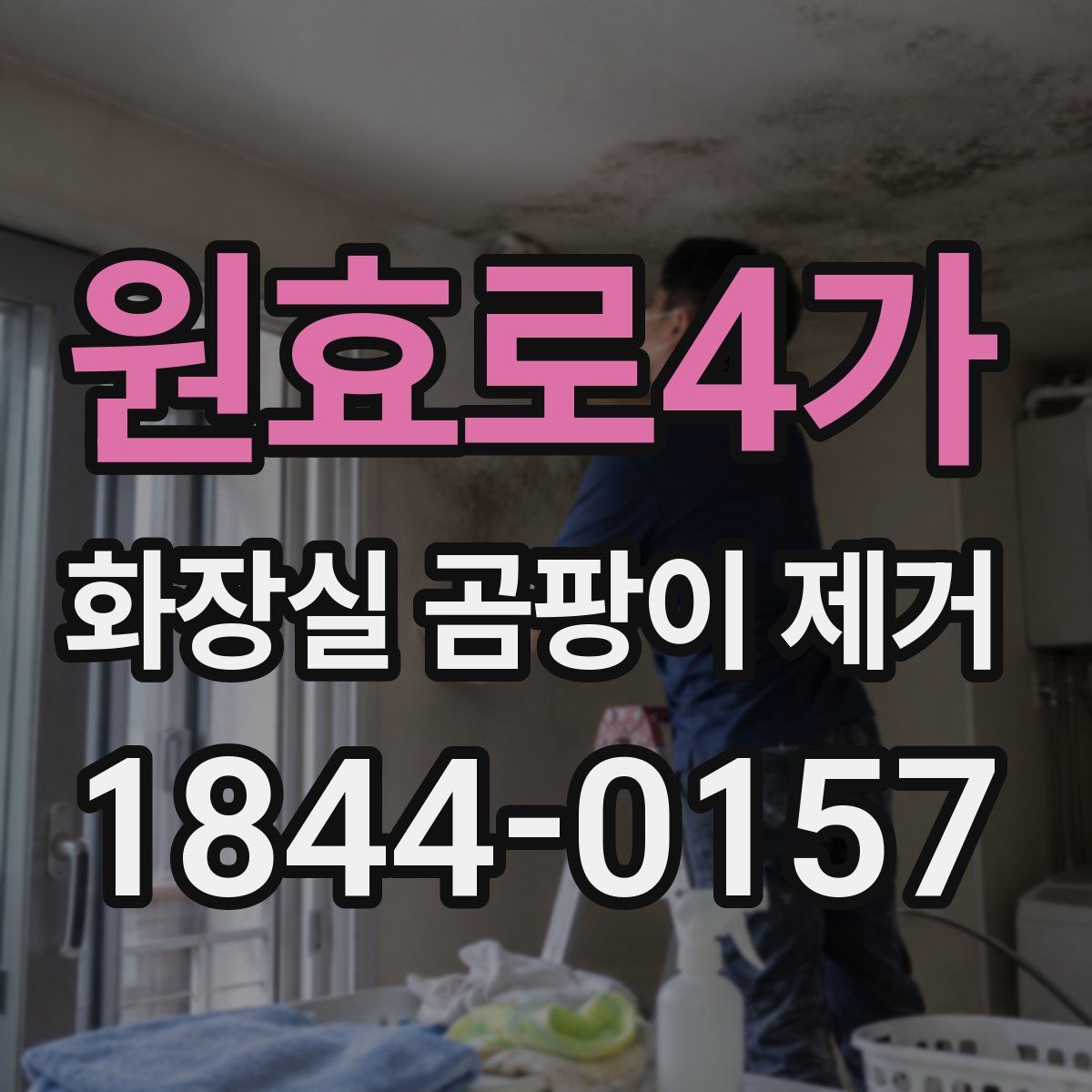 원효로4가 화장실 곰팡이 제거