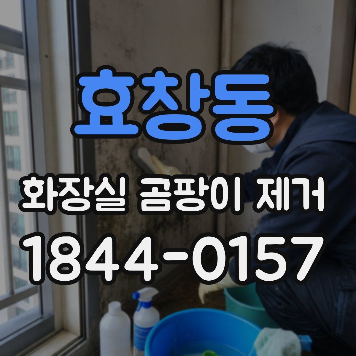 효창동 화장실 곰팡이 제거 환기와 건조 습관으로 재발 막기
