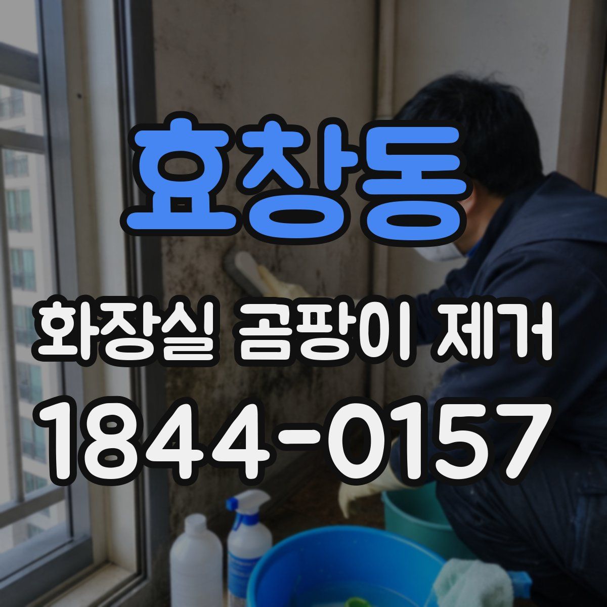 효창동 화장실 곰팡이 제거