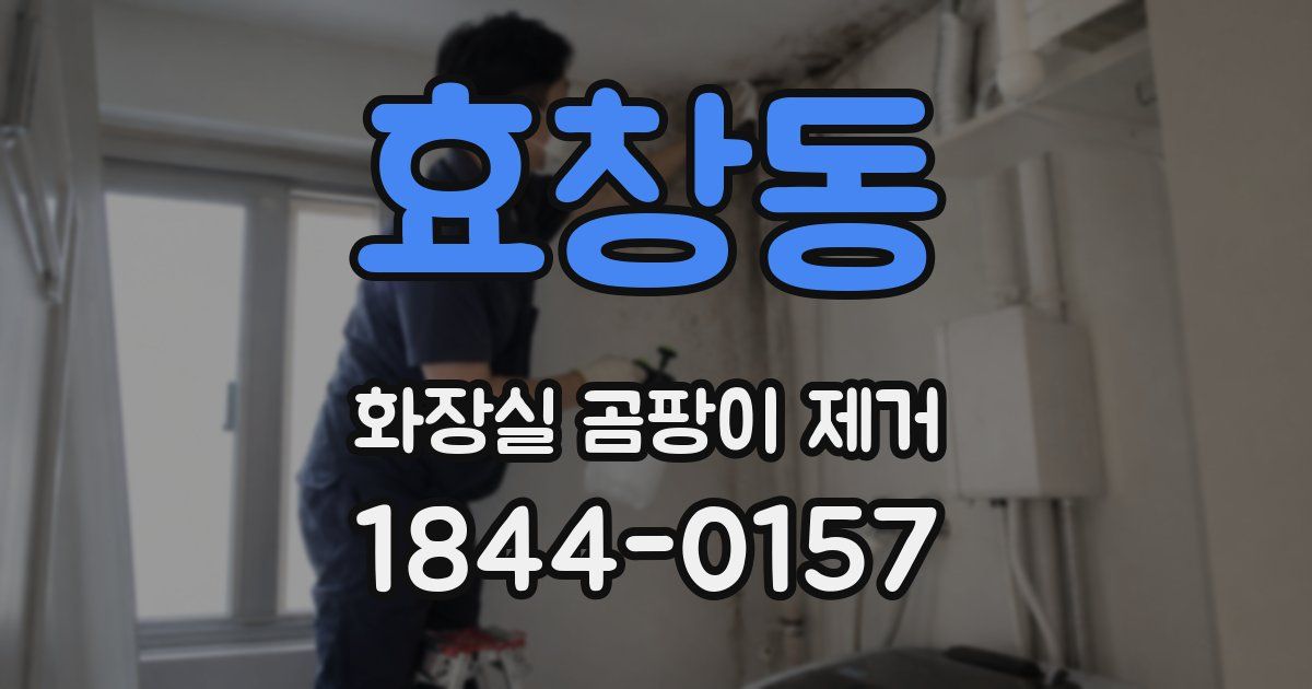 효창동 화장실 곰팡이 제거