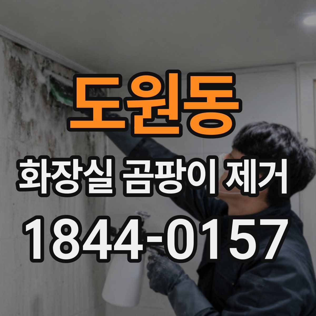 도원동 화장실 곰팡이 제거