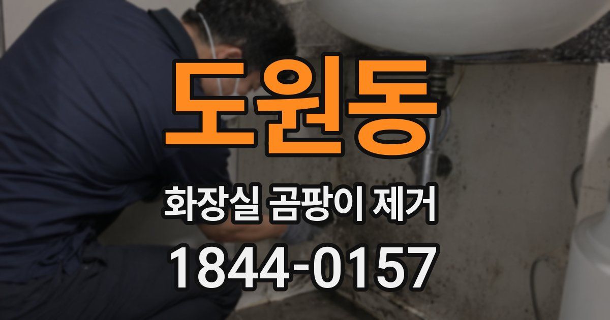도원동 화장실 곰팡이 제거