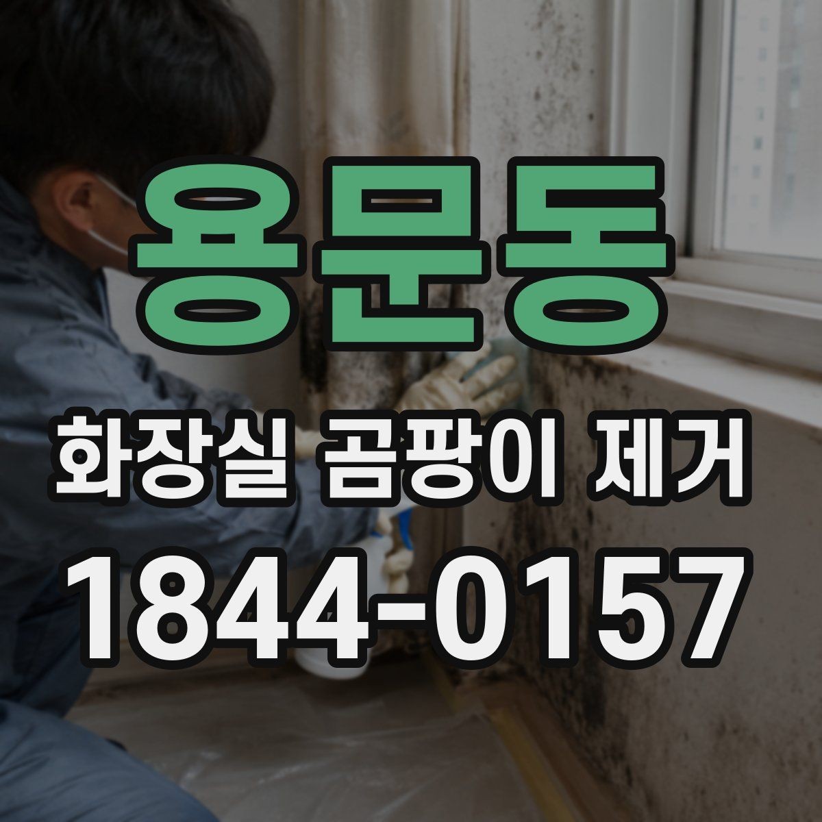 용문동 화장실 곰팡이 제거 물때와 섞인 얼룩을 구분하는 기준