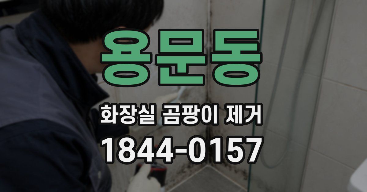 용문동 화장실 곰팡이 제거