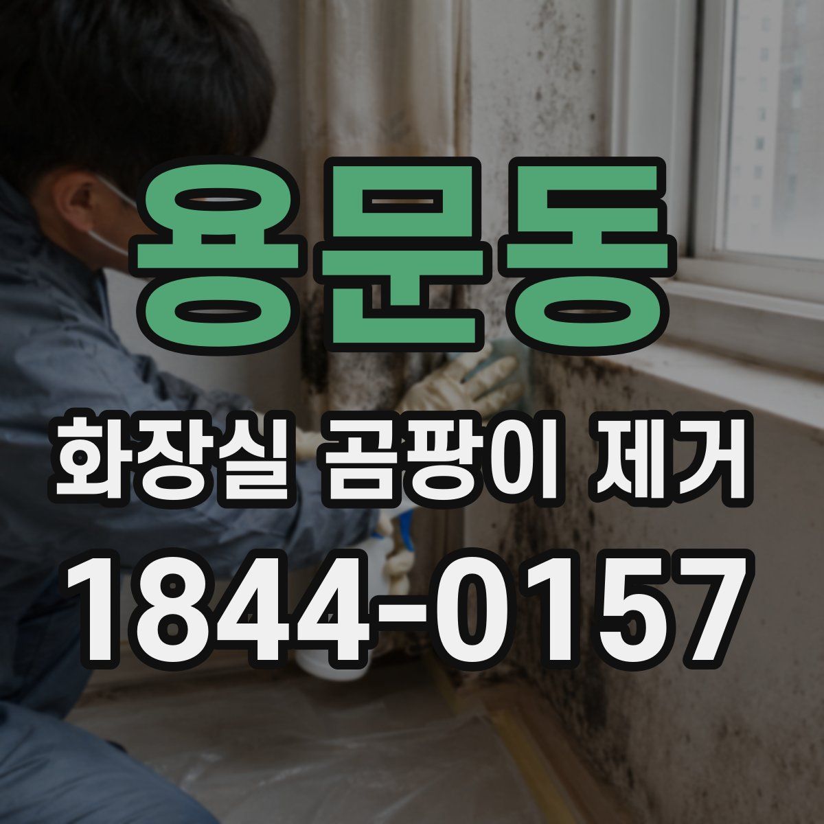 용문동 화장실 곰팡이 제거