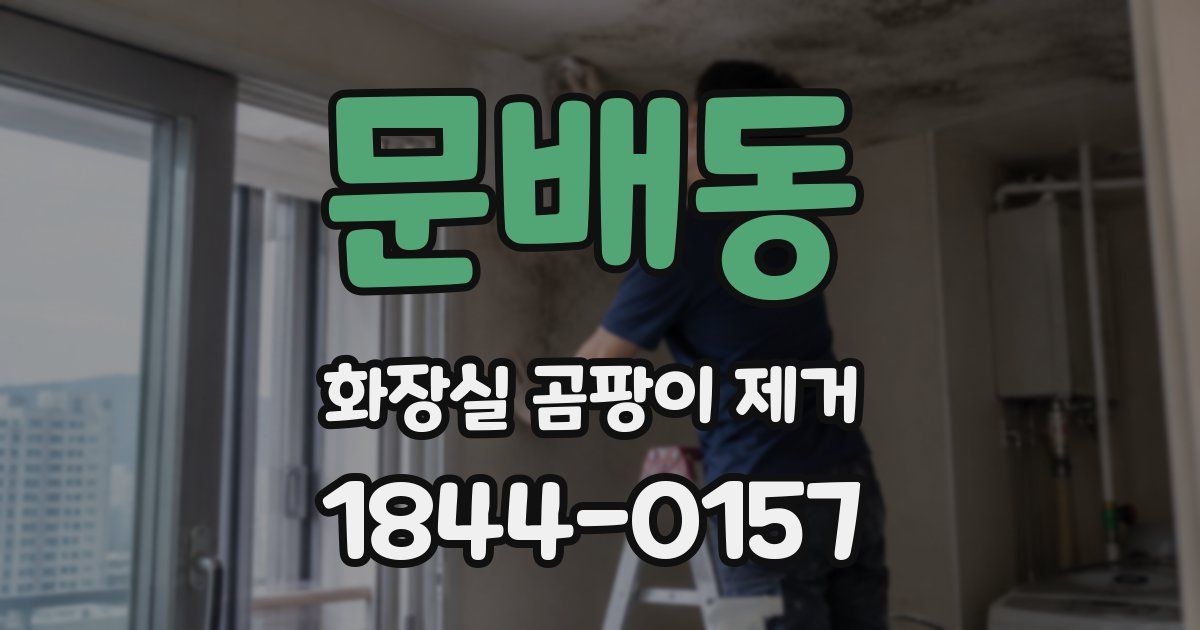 문배동 화장실 곰팡이 제거