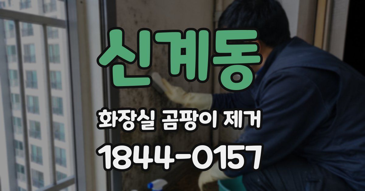 신계동 화장실 곰팡이 제거