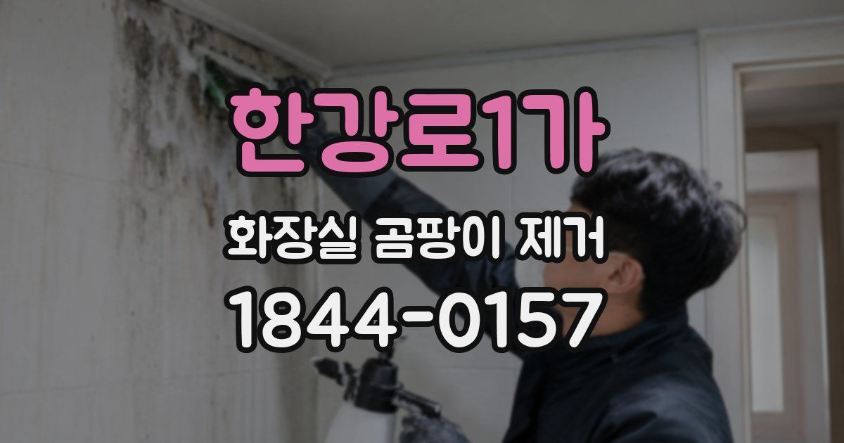 한강로1가 화장실 곰팡이 제거